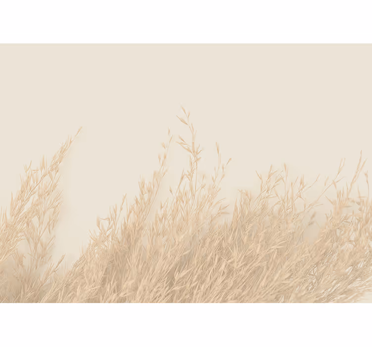 キッチン ロール スクリーン 風に揺れる植物 - TENSTICKERS