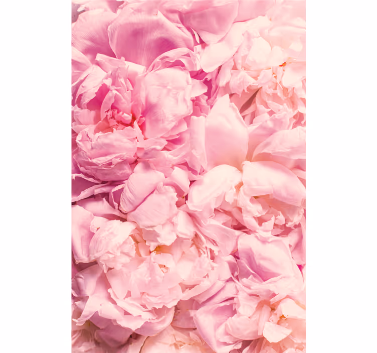 寝室 ブラインド ピオニーのリアルなピンクの花 - TENSTICKERS