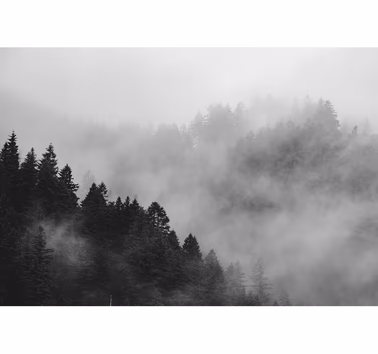 グレー ブラインド 黒と白の霧の森 - TENSTICKERS