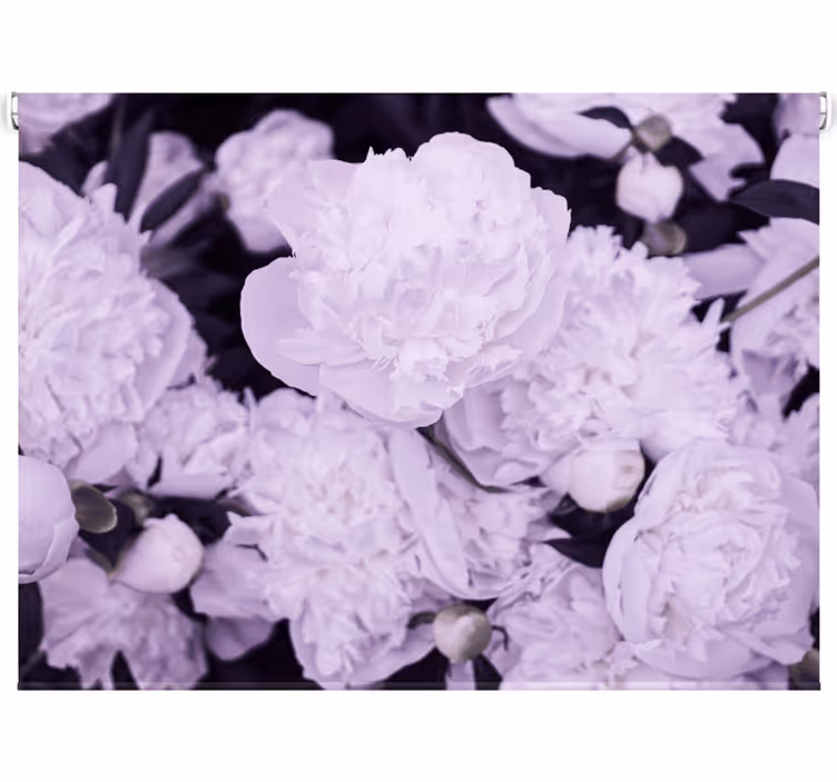 リビング カーテン ブラインド 優雅な女性らしいピンクの芍薬 - TENSTICKERS