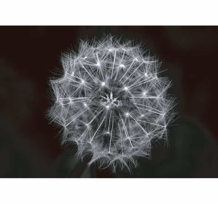 グレー ブラインド ふわふわの花のグレー - TENSTICKERS