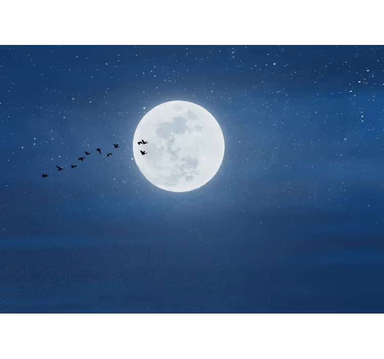 リビング カーテン ブラインド 満月と空 - TENSTICKERS
