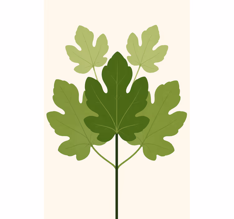 ブラインド より多くの花や植物 フィゲラ - TENSTICKERS