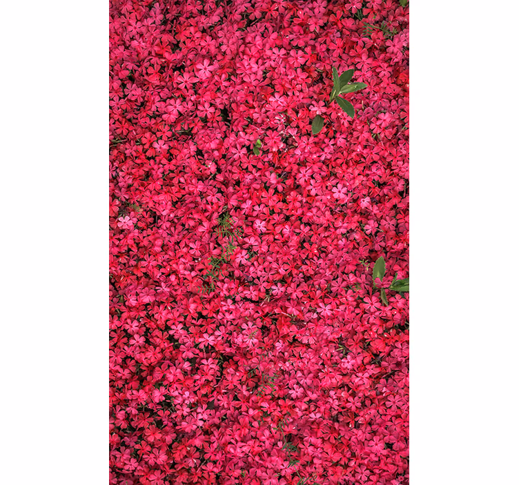 ブラインド 花や植物 鮮やかな豊かさ - TENSTICKERS