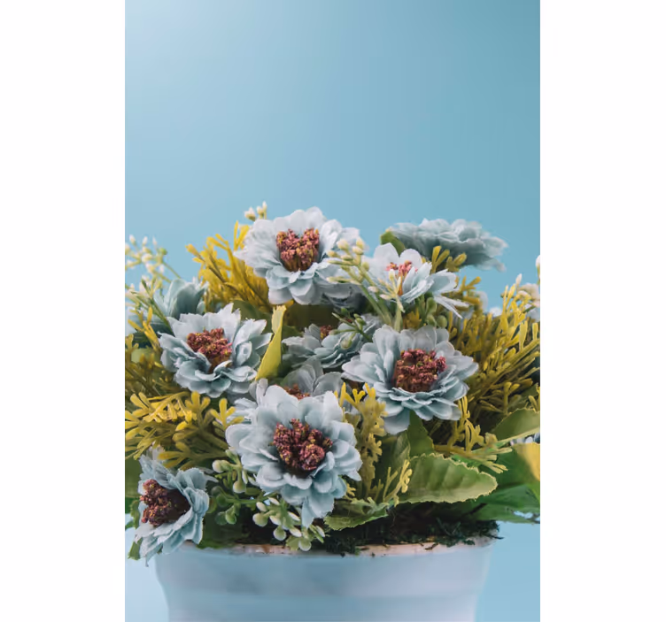 ブラインド 花や植物 多肉植物のアレンジメント - TENSTICKERS