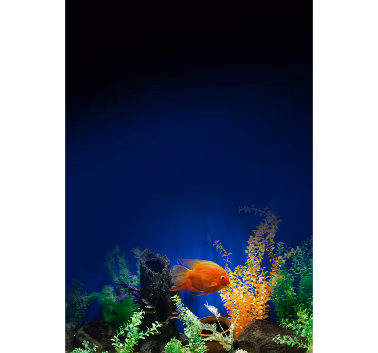 水族館生活様々な動物の視覚障害者 - TENSTICKERS
