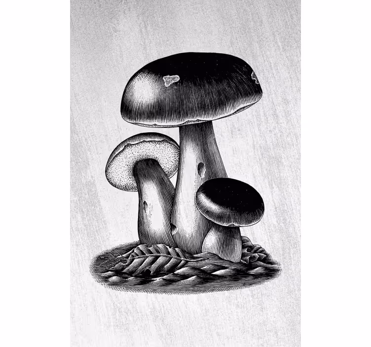 ブラインド 花や植物 マッシュルームエレガンス - TENSTICKERS