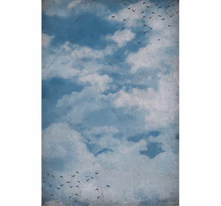 ブラインド 雲 鳥のいる空 - TENSTICKERS