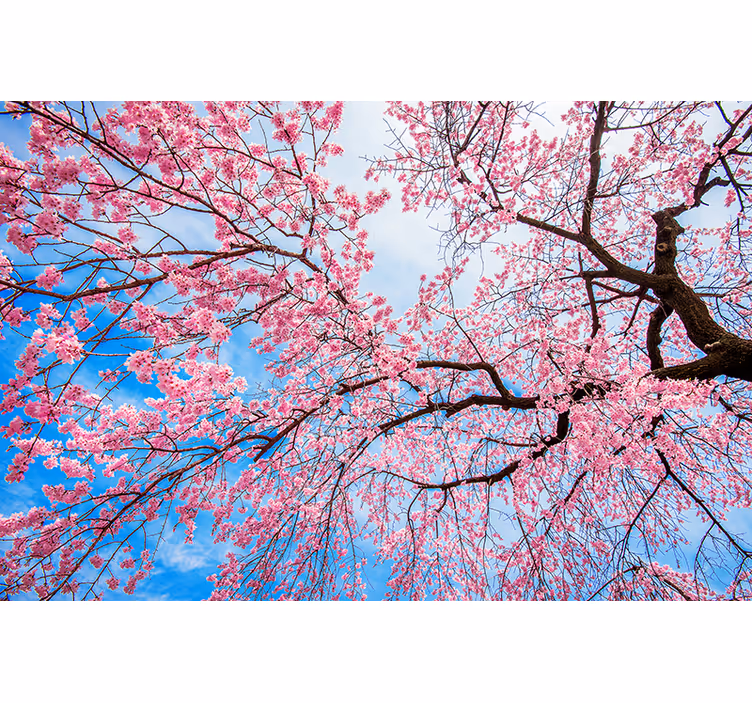 ブラインド より多くの花や植物 サクラリム - TENSTICKERS