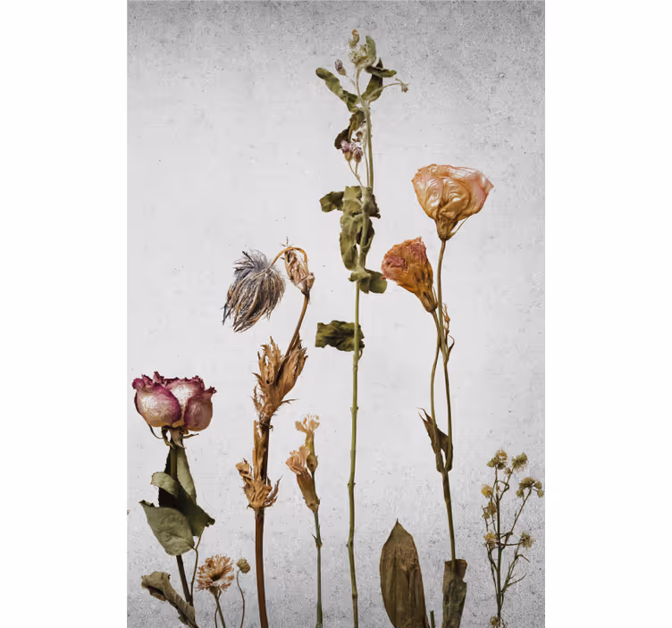 ブラインド 花や植物 ドライフラワーアレンジメント - TENSTICKERS