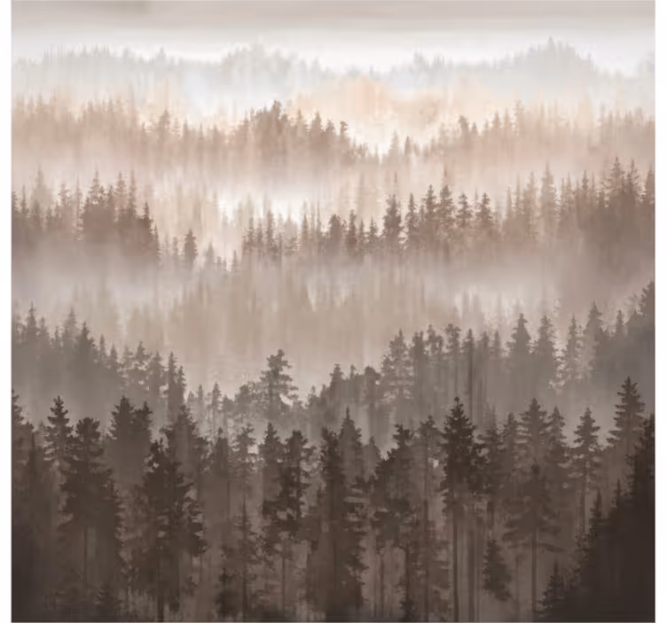 風景壁壁画木の森の層 - TENSTICKERS