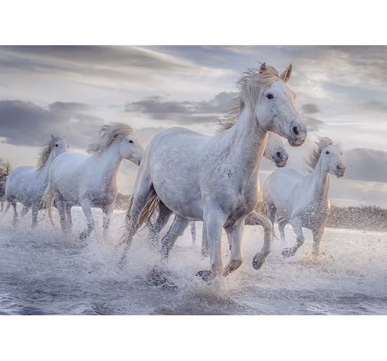 水壁壁画の馬 - TENSTICKERS