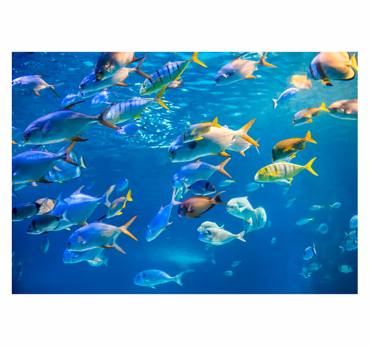海の動物の壁の壁画の学校 - TENSTICKERS