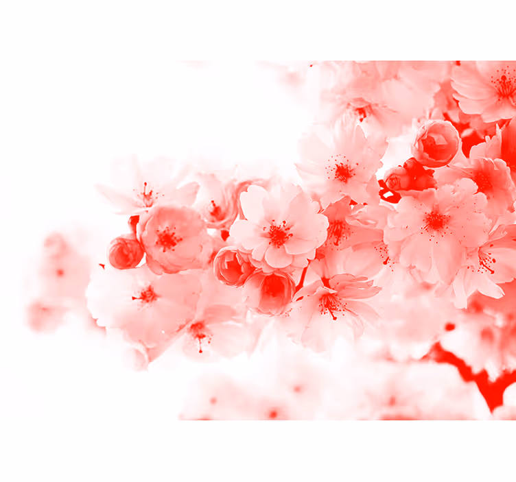 抽象的な花の木禅壁画壁紙 - TENSTICKERS