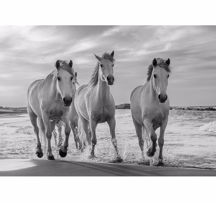 動物 壁画  regal horses gallopingの壁画 - TENSTICKERS