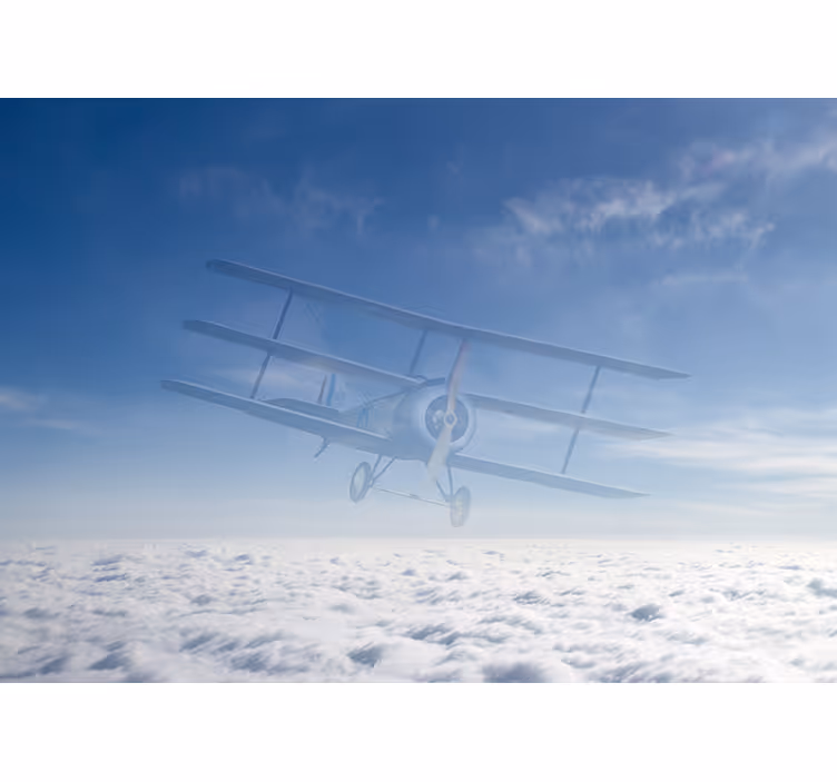 車 壁画 ヴィンテージ飛行機の飛行 - TENSTICKERS