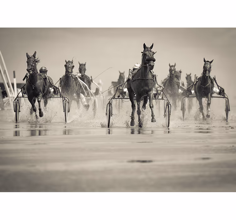 動物 壁画 一緒に競走する馬 - TENSTICKERS