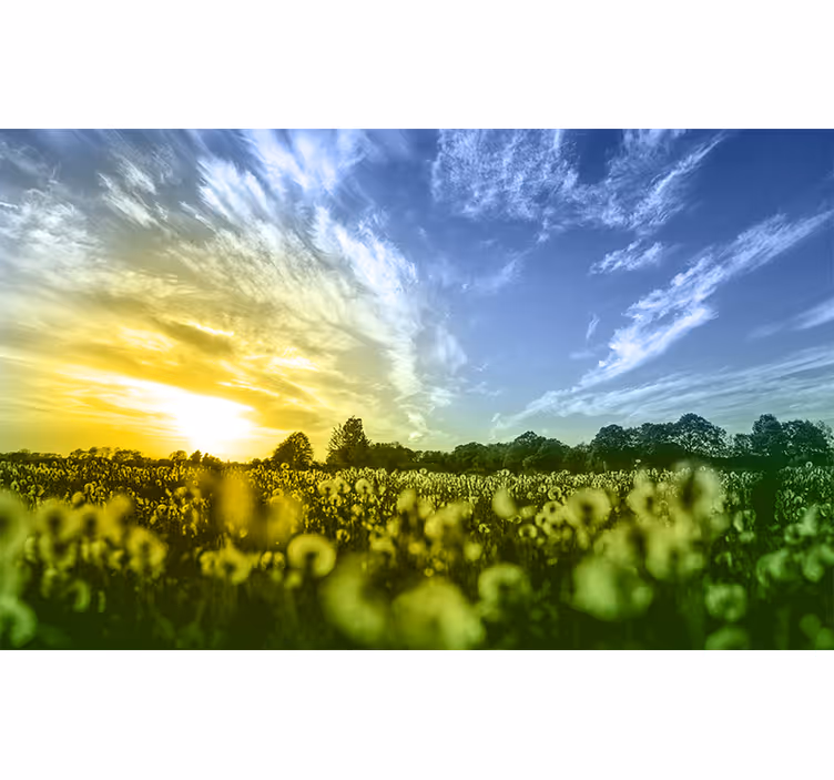 花 柄 壁画 夕焼けの花畑 - TENSTICKERS