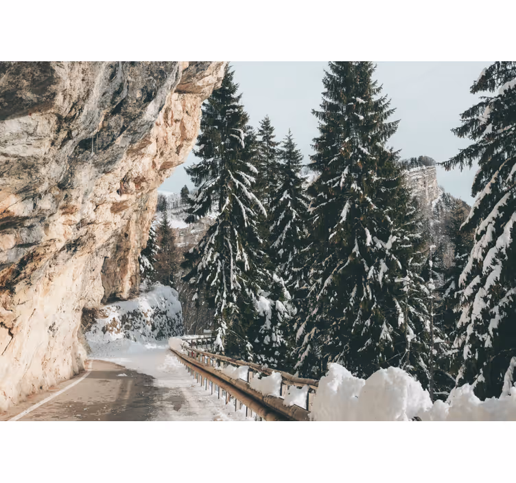 風景壁壁画 冬の松の風景 - TENSTICKERS