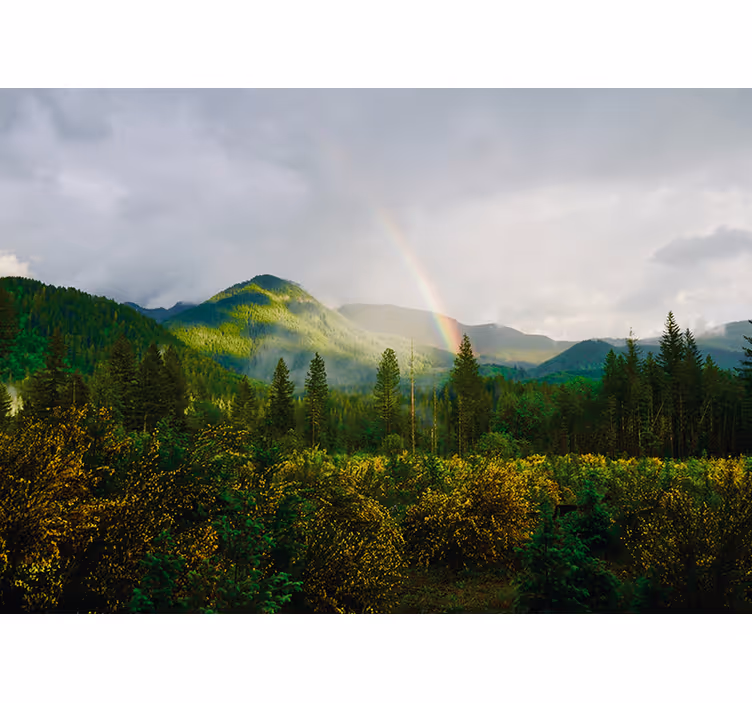 自然 壁画 山の風景 - TENSTICKERS