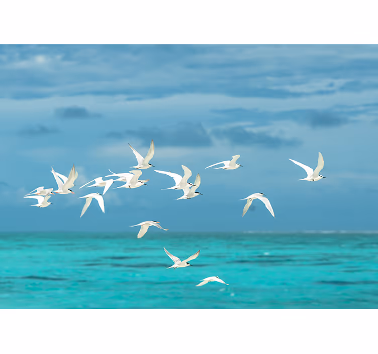 動物の壁の壁画を飛んでいる鳥 - TENSTICKERS