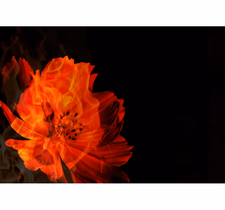他の花壁の壁画炎のような花の爆発 - TENSTICKERS