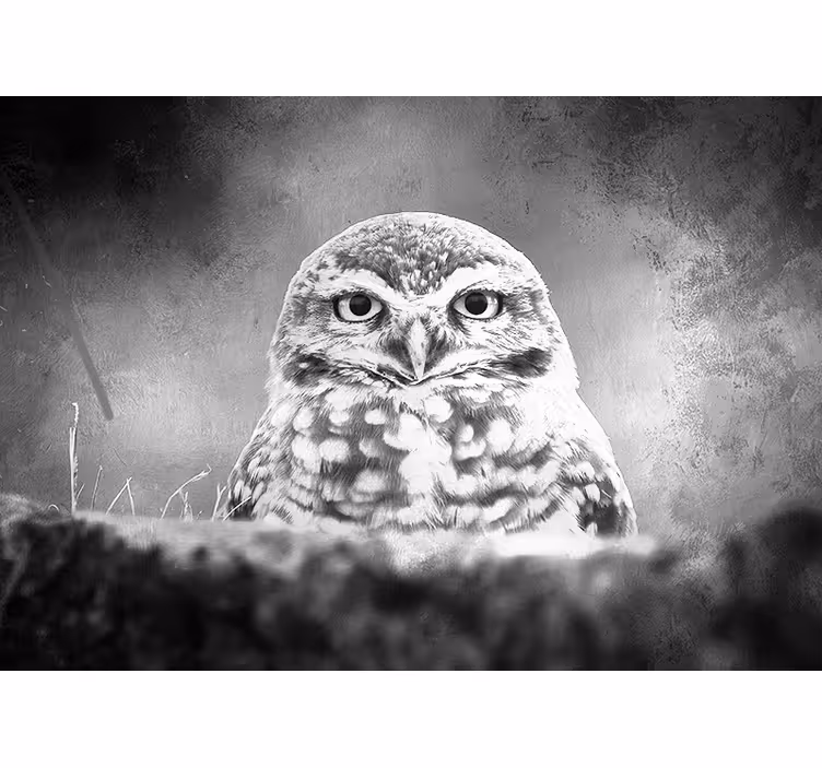 動物 壁画 雄大なフクロウの肖像画 - TENSTICKERS
