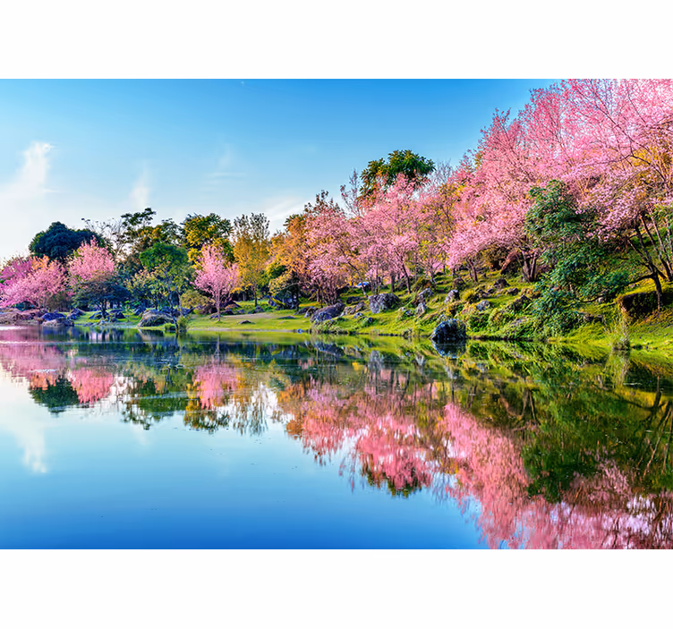 美しい桜の木の壁画 - TENSTICKERS