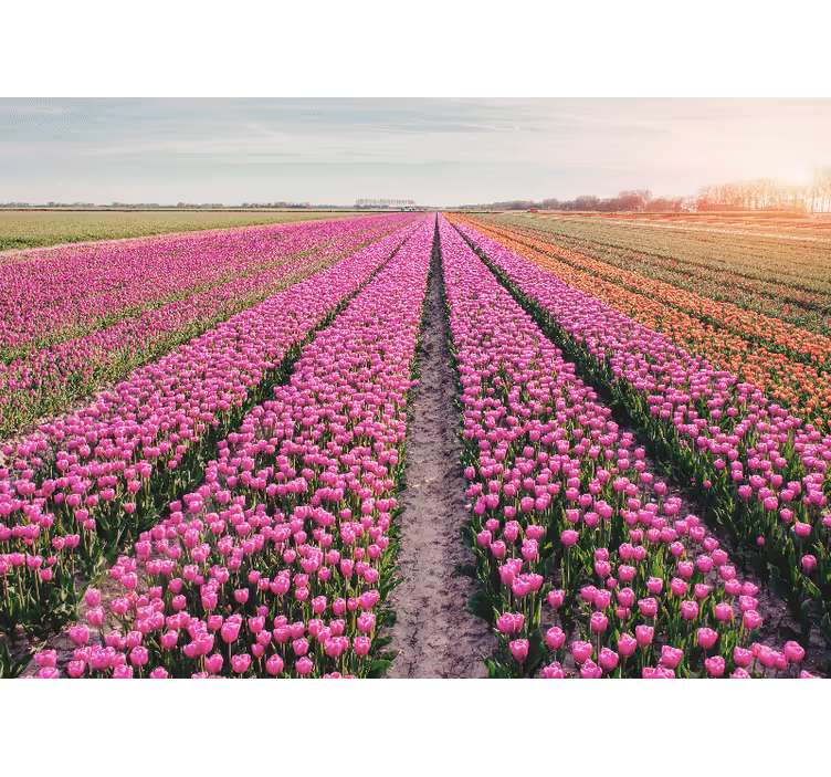 花 柄 壁画 チューリップの草原の風景 - TENSTICKERS