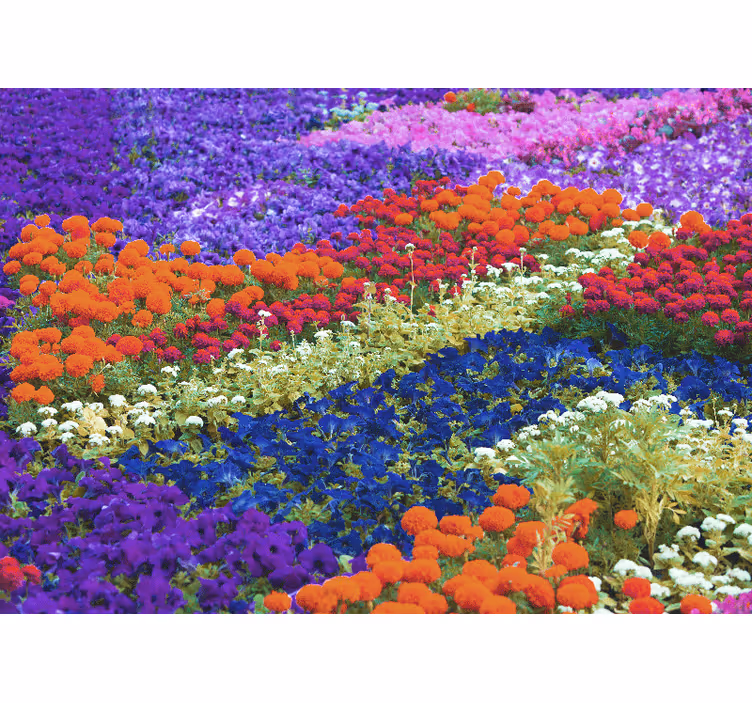 他の花壁の壁画カラフルな草原 - TENSTICKERS