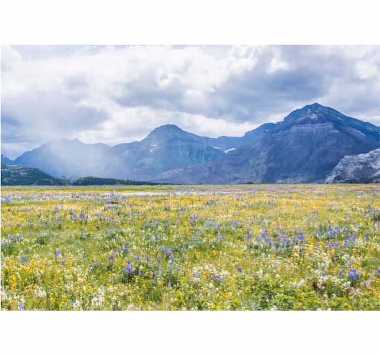 風景壁壁画山の花畑 - TENSTICKERS