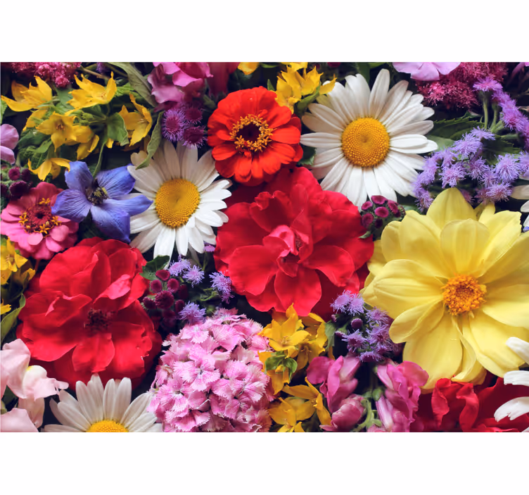 花 柄 壁画 鮮やかな花のアレンジメント - TENSTICKERS