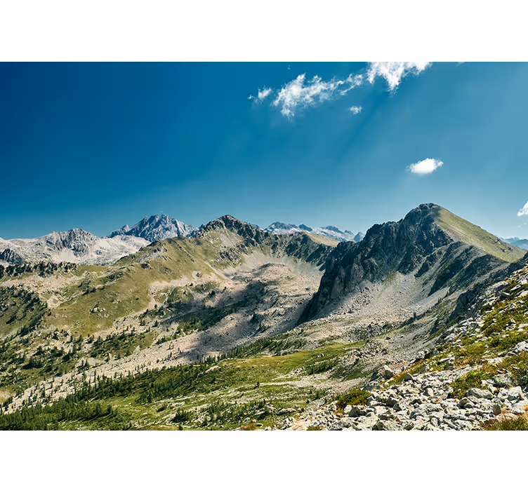 風景壁壁画大山脈の眺め - TENSTICKERS