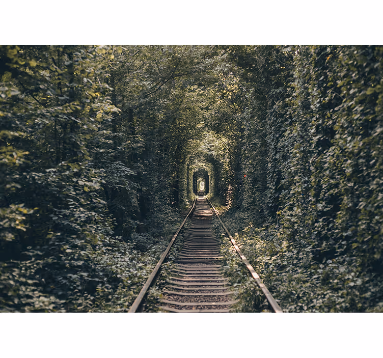 風景壁壁画 鉄道トンネルの自然 - TENSTICKERS