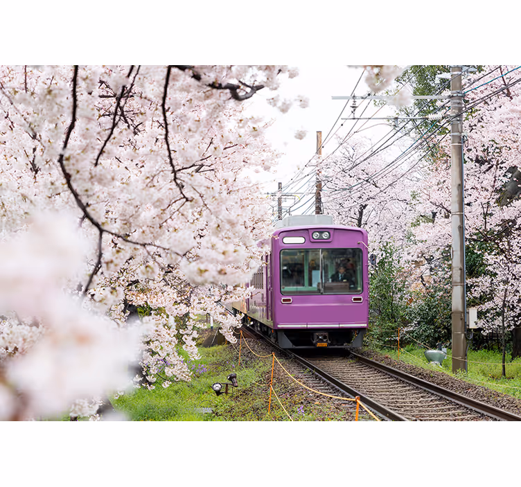 鉄道の壁画に沿って桜が咲く - TENSTICKERS