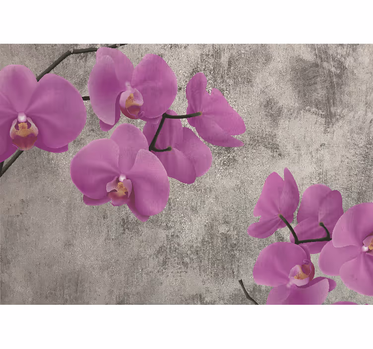 花 柄 壁画 薔薇と蘭の花々 - TENSTICKERS