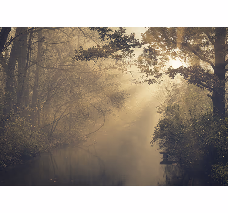 自然 壁画 輝く森の風景 - TENSTICKERS