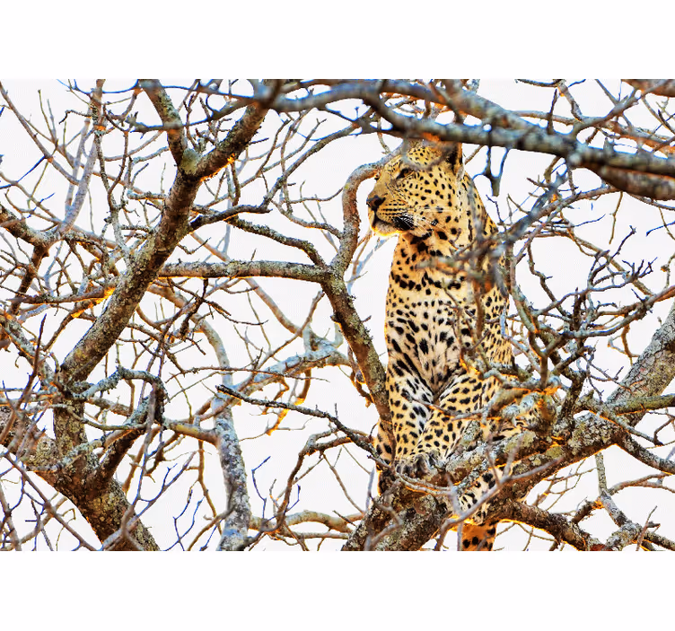 他の動物 壁画 隠れた枝の中のヒョウ - TENSTICKERS