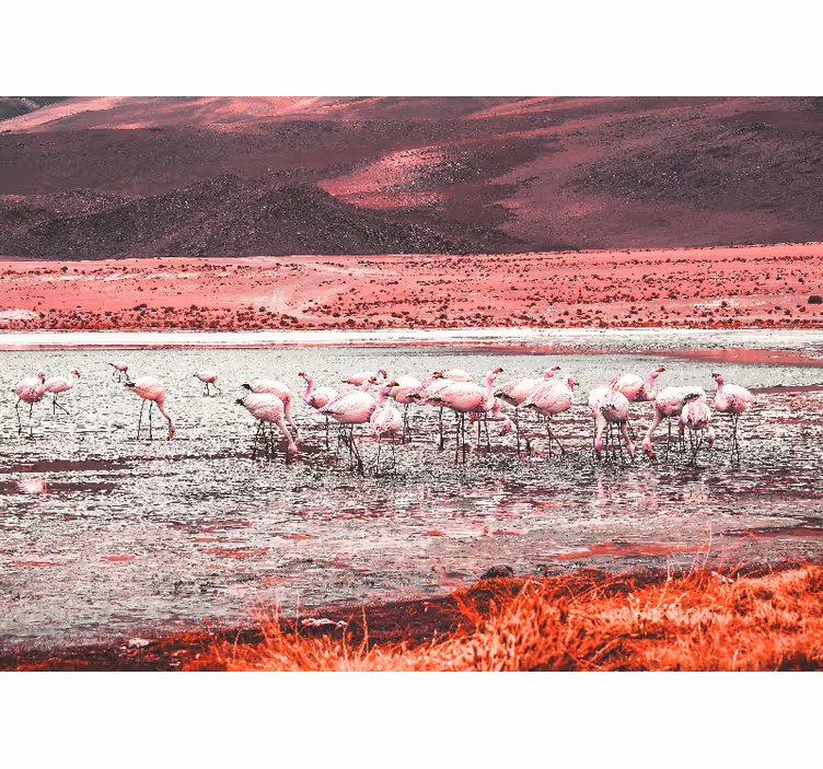 他の動物 壁画 フラミンゴの生息地の風景 - TENSTICKERS