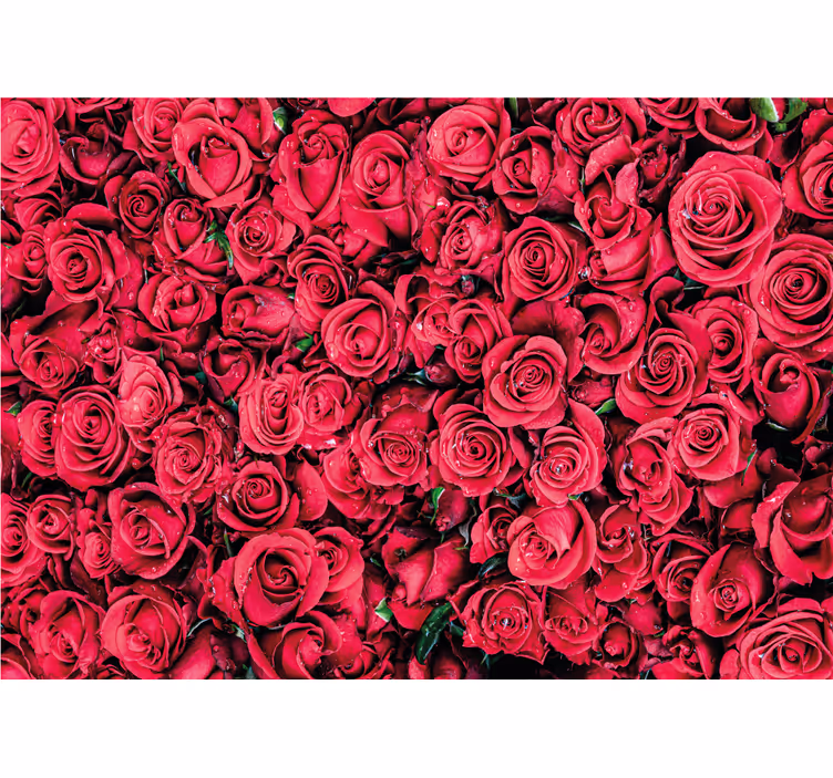バラ 壁画 鮮やかなバラの花々 - TENSTICKERS