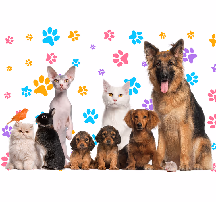 犬と猫の足の壁の壁画 - TENSTICKERS