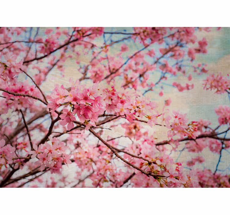 ぼやけた桜の花の壁の壁画 - TENSTICKERS