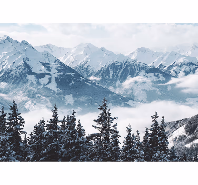 山 壁画 壮大な雪に覆われた山々 - TENSTICKERS
