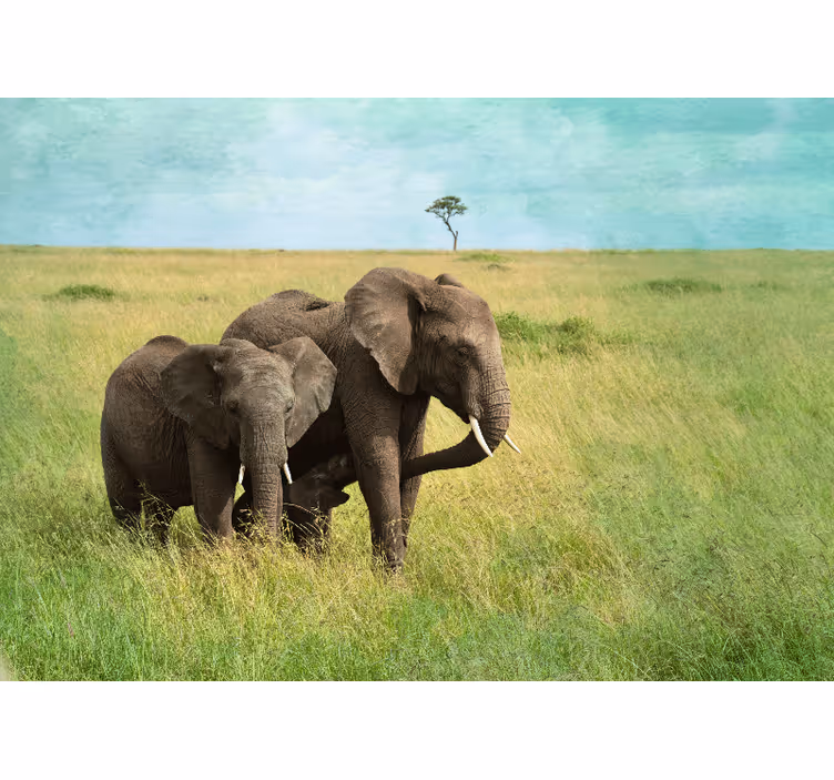 野生動物サバンナ象アフリカ壁画 - TENSTICKERS