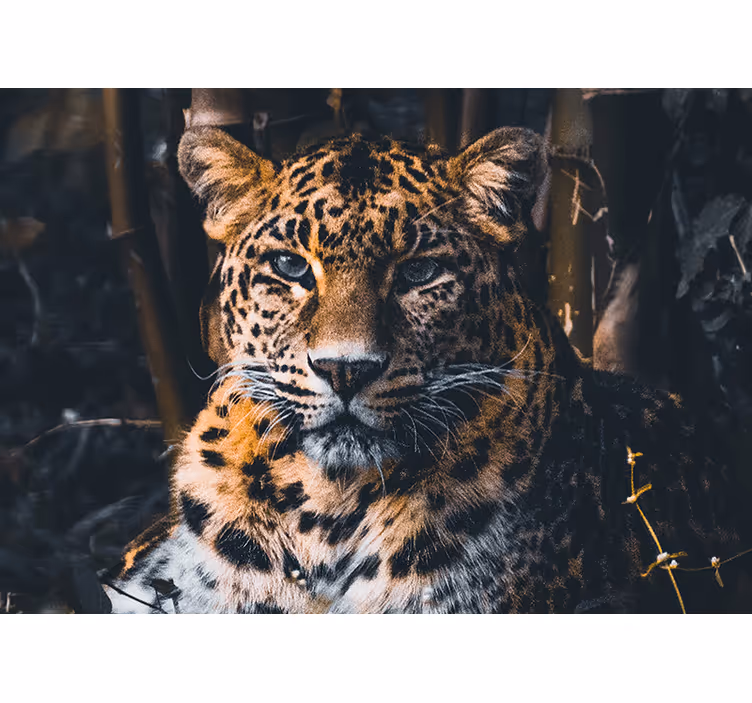見事な野生動物のヒョウアフリカ壁画 - TENSTICKERS