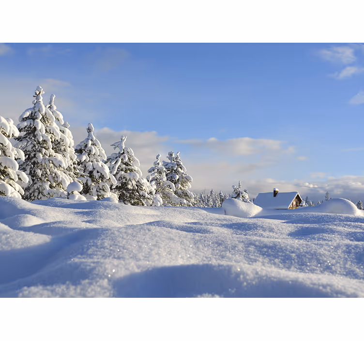 風景壁壁画冬の雪景色 - TENSTICKERS