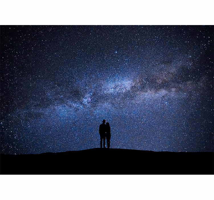 愛の壁画 星夜の愛 - TENSTICKERS