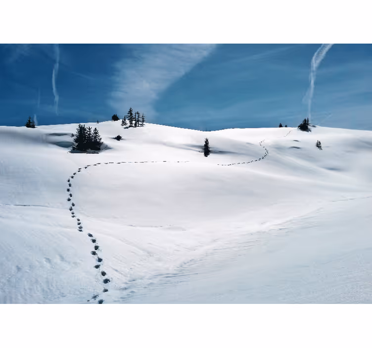 山 壁画 雪の山道 - TENSTICKERS