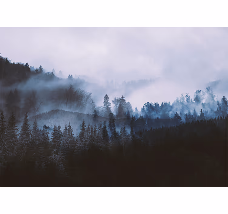 森の壁の壁画霧のかかった常緑樹の風景 - TENSTICKERS