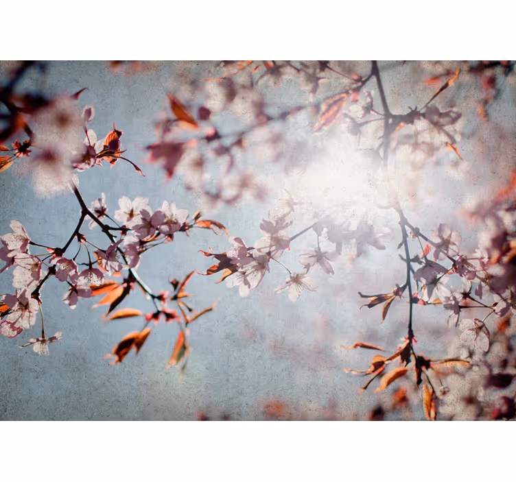 花柄壁画桜の小枝 - TENSTICKERS